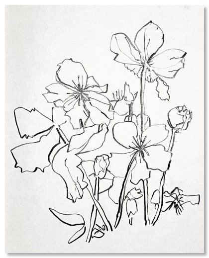 787955E3-02CF-4051-9FC7-83412C010496