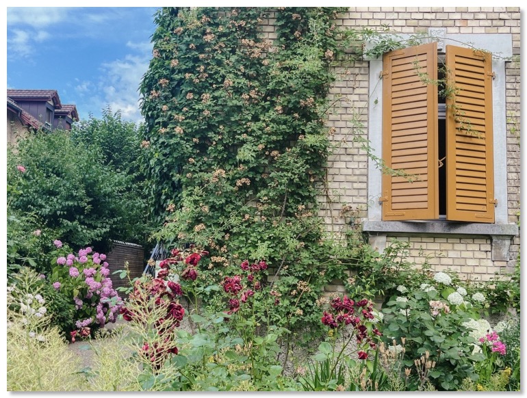 929756A9-31A2-4878-AD01-A1E8BC9BCE4B